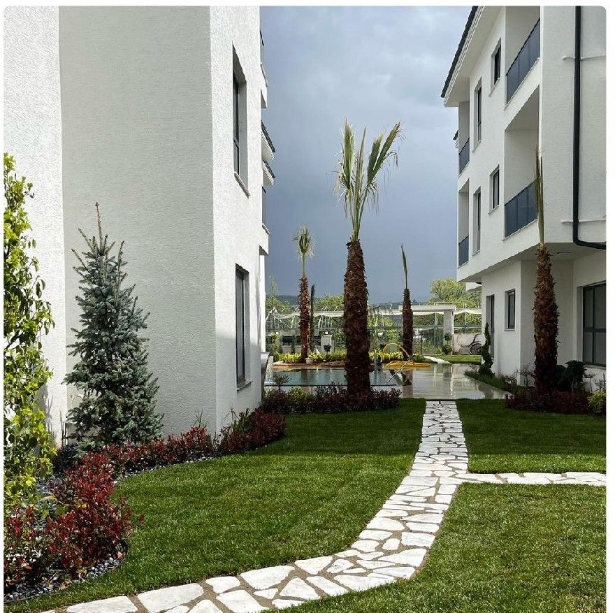 Palms and a natural stone path in a complex garden