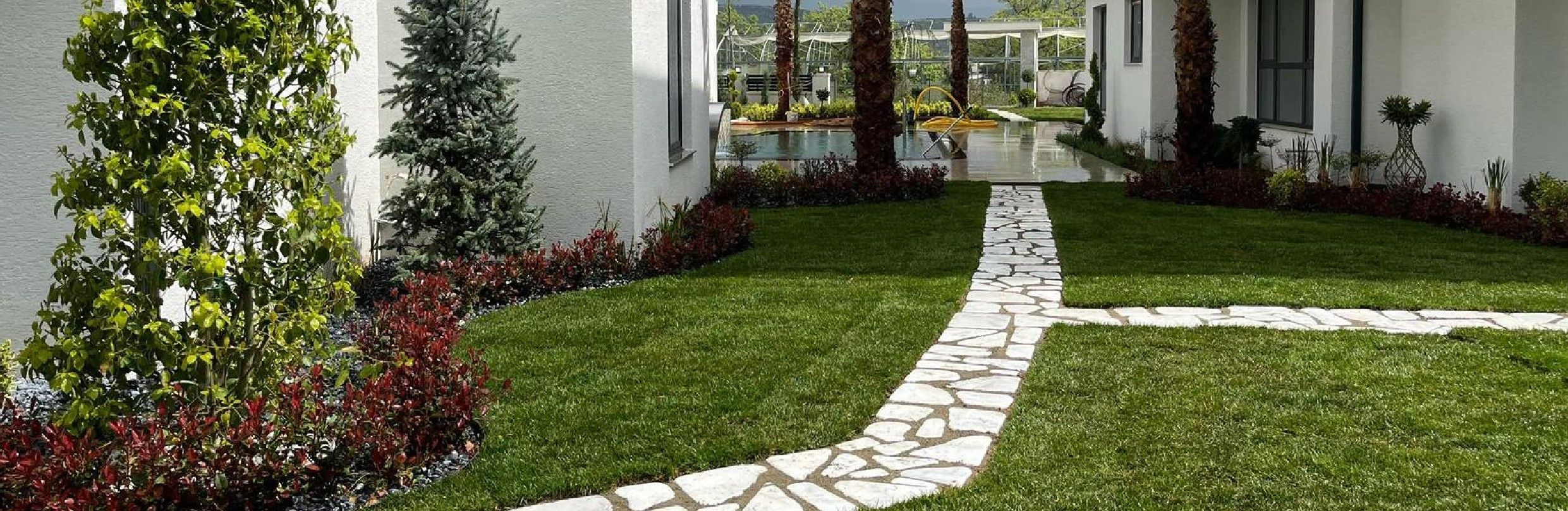 Palms and a stone walkway in a housing development courtyard