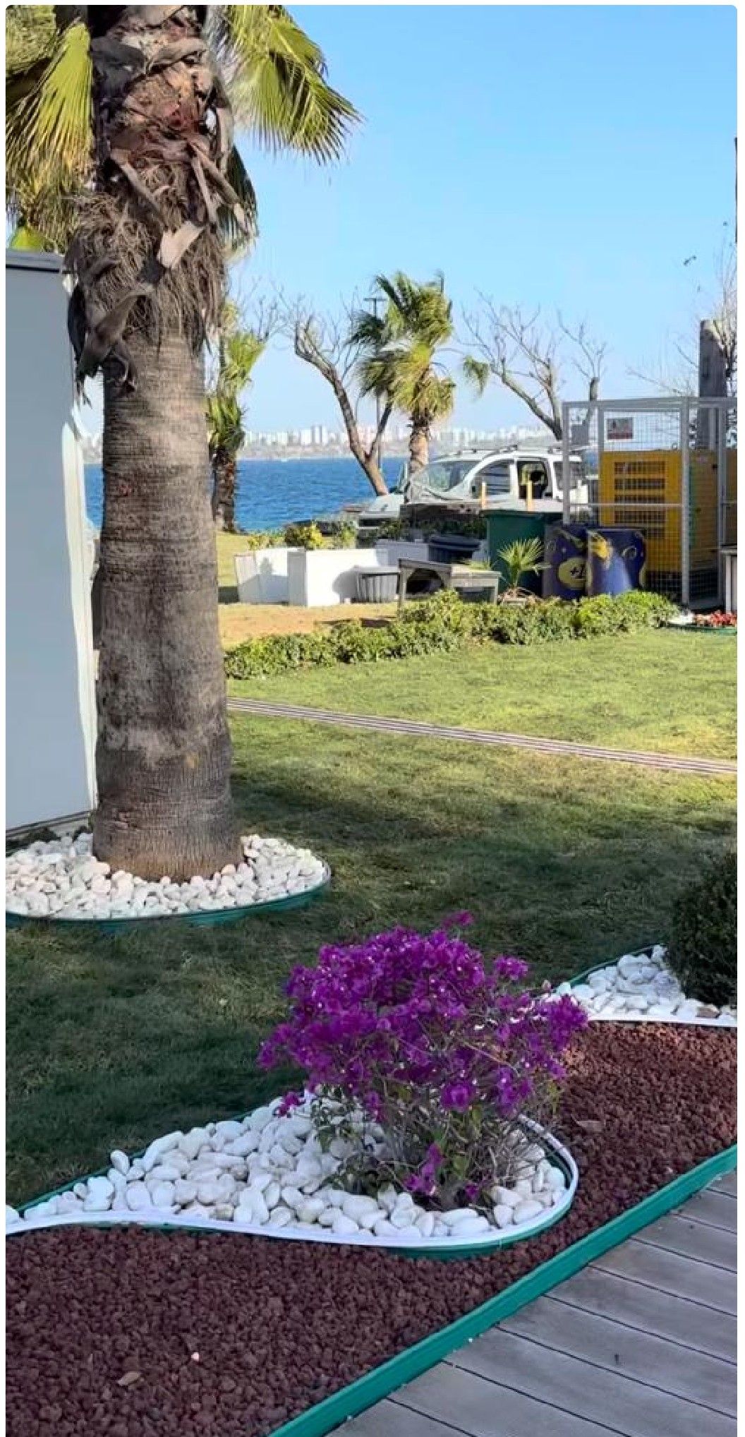 Commercial-area landscape with palm and decorative stones by the sea